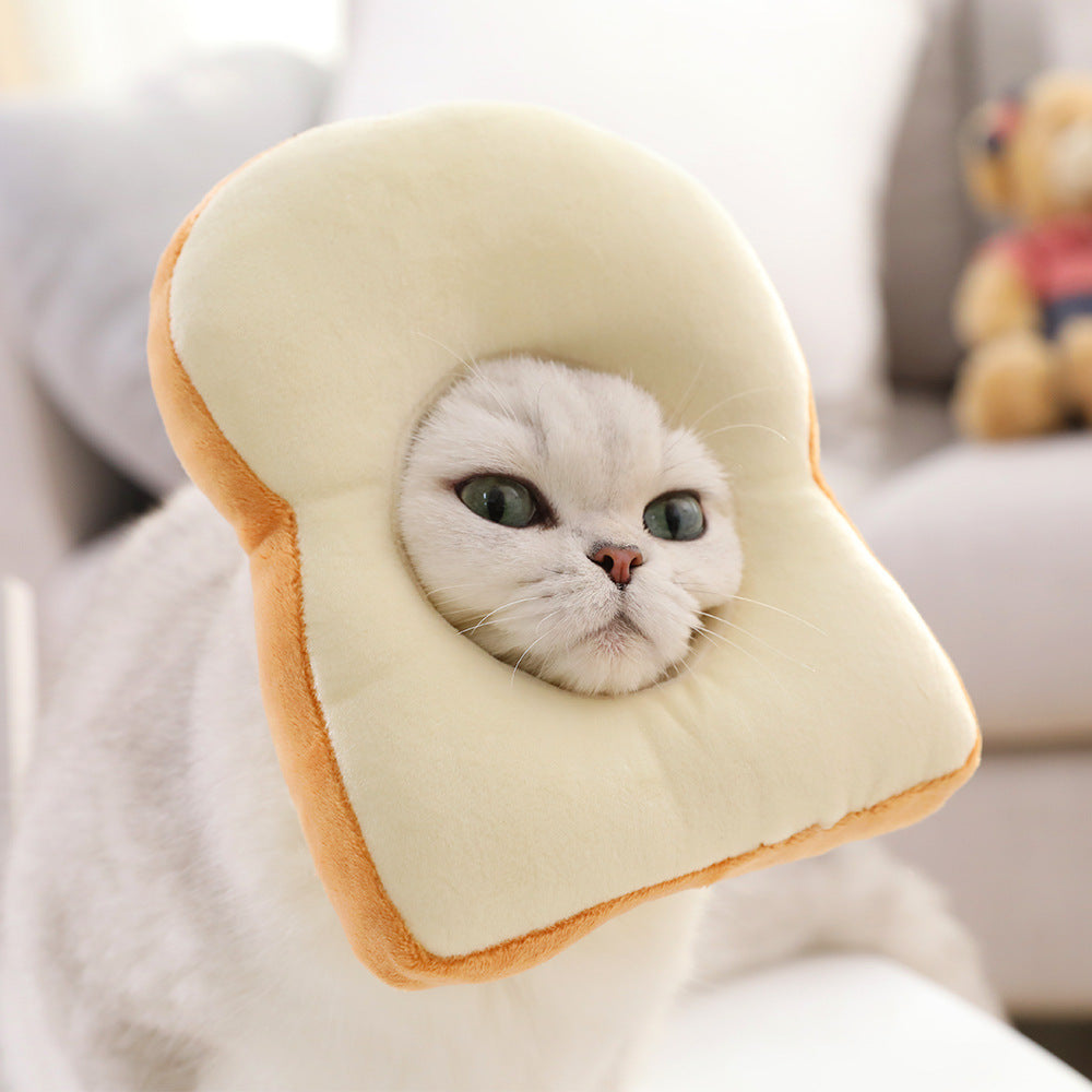 Kitty Toast Headgear Pet Headdress Accessories Funny