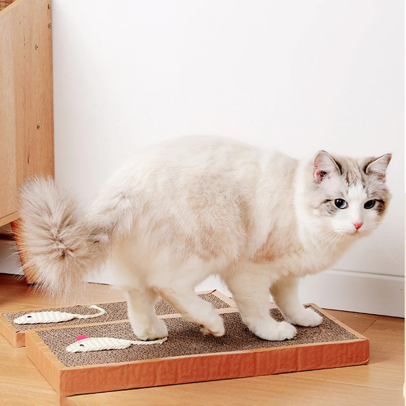 cat scratching board