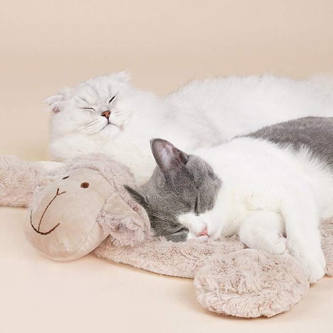 Modern Cat Bed – Plush Sleeping Mat for Cats