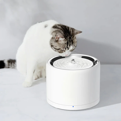 Pet water dispenser