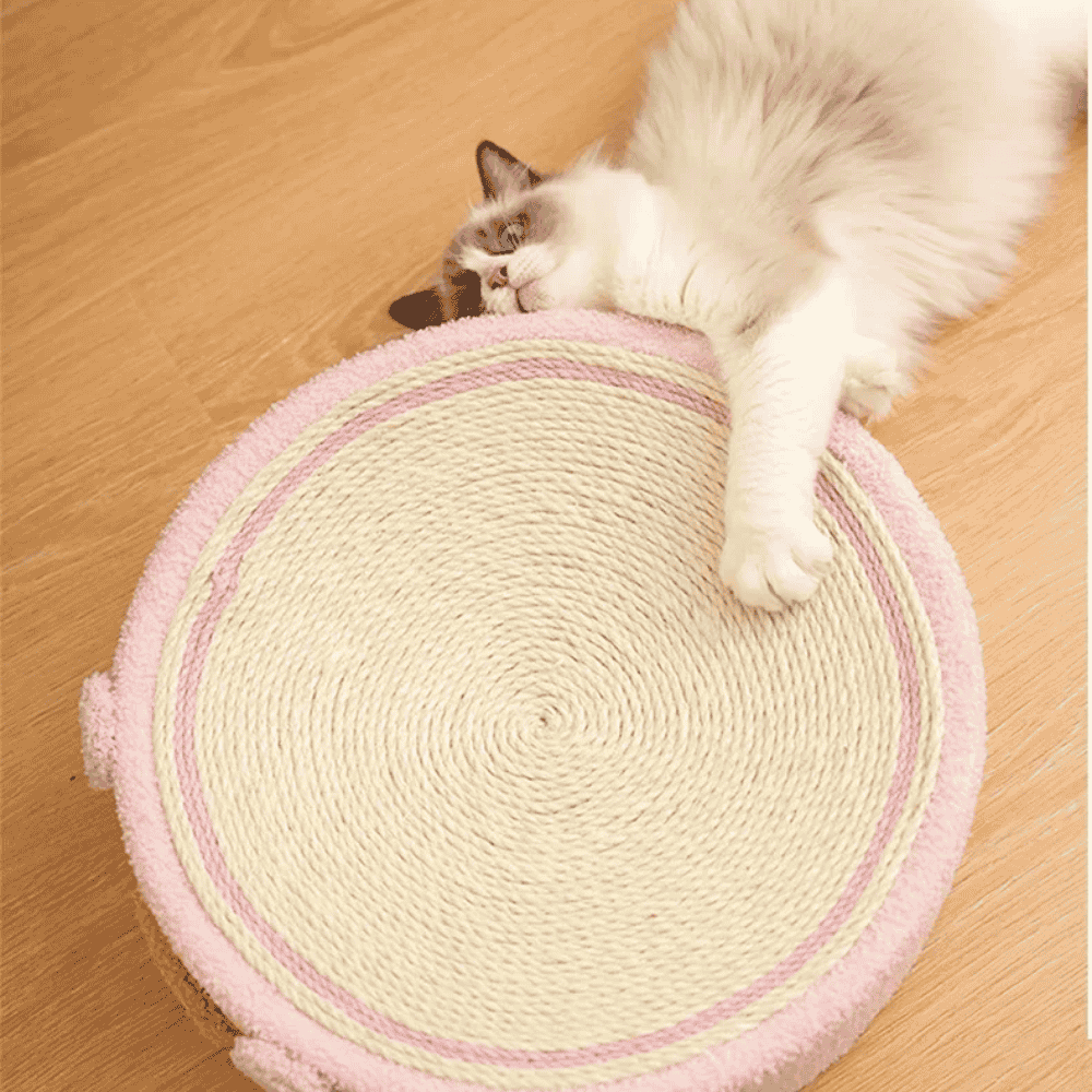 Kitten Scratch Bed – Sisal Scratcher & Cozy Resting Spot